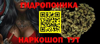 прущие крисы Гай