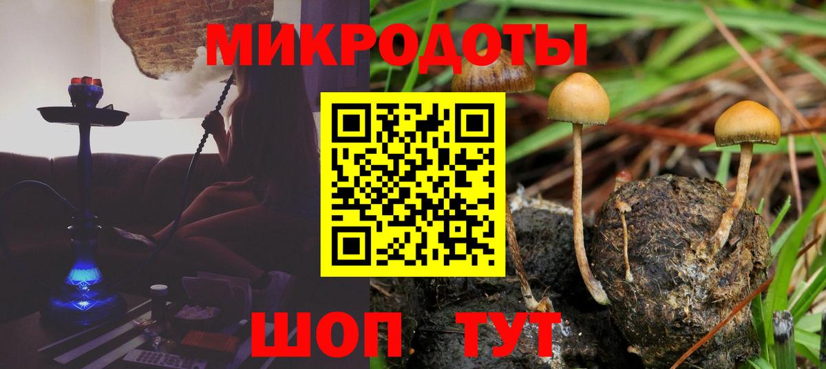Всеволожск  Галлюциногенные грибы Cubensis  Вход с VPN 